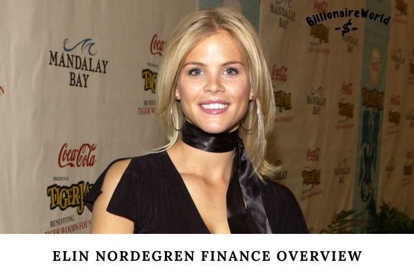 Elin Nordegren Finance Overview