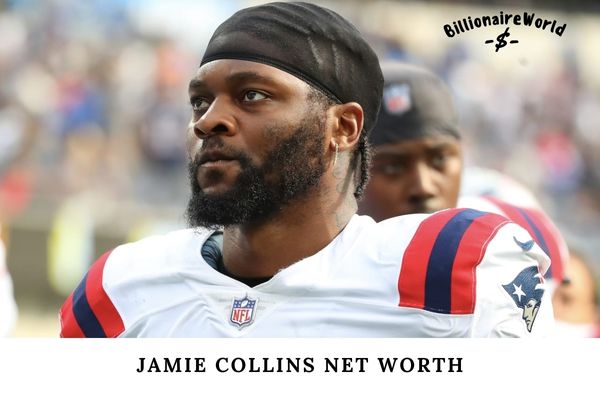 Jamie Collins Net Worth