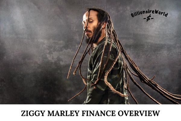 Ziggy Marley Finance Overview