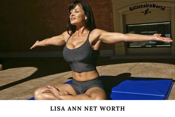 Lisa Ann Net Worth